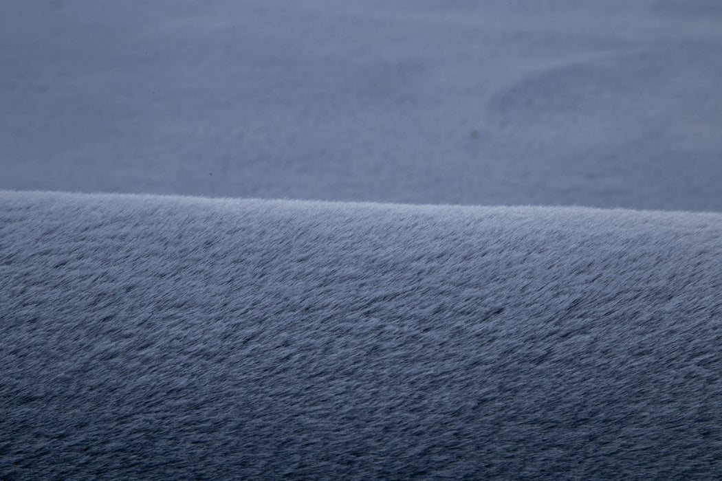 RABBIT Area Rug - 3'6'' x 5'6'' - RB1046 image