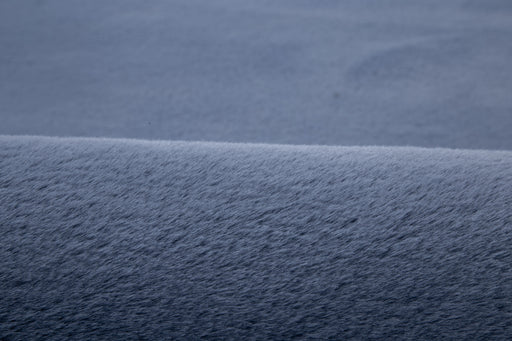 RABBIT Area Rug - 2'4'' x 7'6'' - RB1028 image